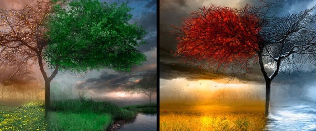 Tehran, the Capital, in 4 Seasons